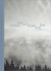 Gerhard Maurer - What are we waiting for