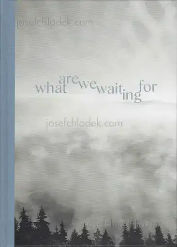 Cover of Gerhard Maurer - What are we waiting for
