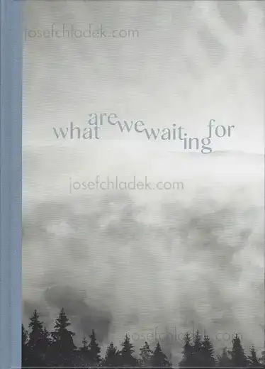 Cover of Gerhard Maurer - What are we waiting for