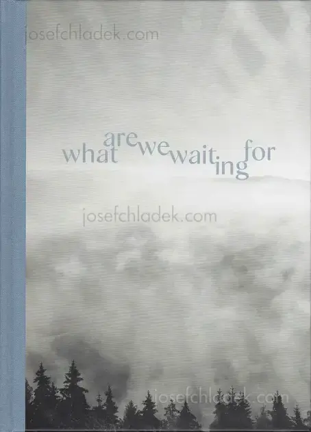 Cover of Gerhard Maurer - What are we waiting for