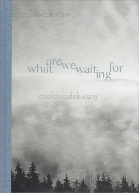 Cover of Gerhard Maurer - What are we waiting for