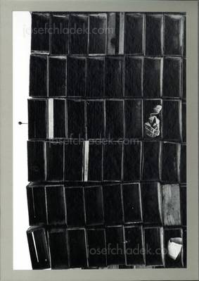  Miguel Rio Branco Miguel Rio Branco. Oeuvres photographi...