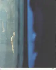 Damian Heinisch - 45