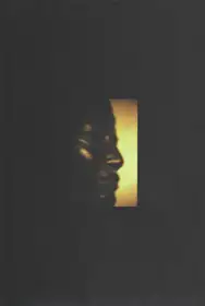 Brad Feuerhelm - Mondo decay