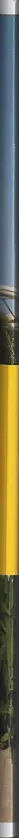 Book spine: Reiner Riedler - This side of paradise - Poster Book