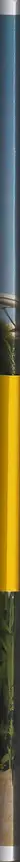 Book spine: Reiner Riedler - This side of paradise - Poster Book