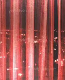 Barbara Filips - Las Vegas - notes from a different planet