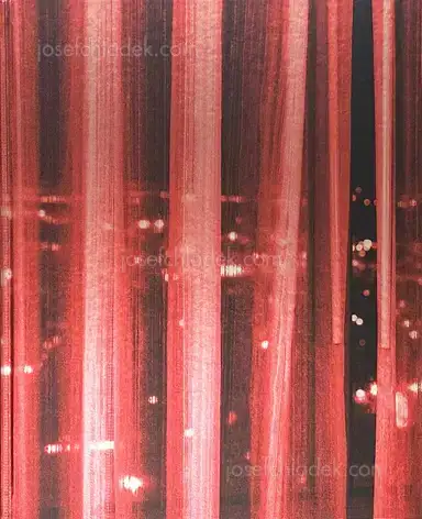 Barbara Filips - Las Vegas - notes from a different planet Barbara Filips - Las Vegas - notes from a different planet