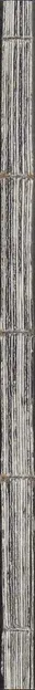 Book spine: Juan Barte - Freedom Tastes of Reality