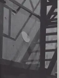 Jonas Feige - This Soil We Have Created For Ourselves