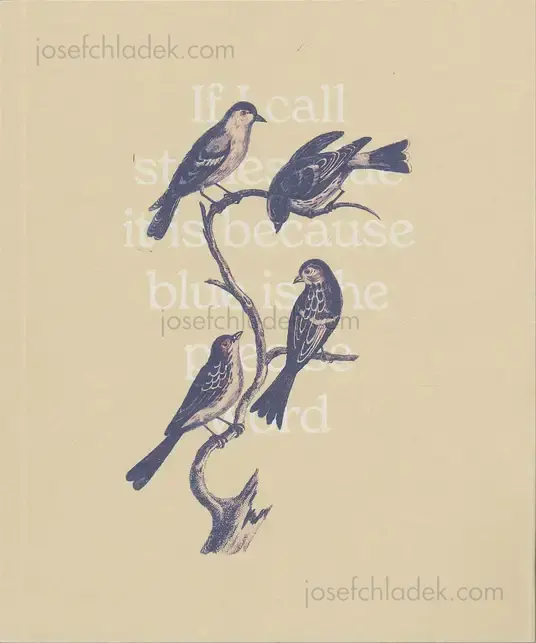 Cover of Joselito Verschaeve - If I call stones blue it is because blue is the precise word