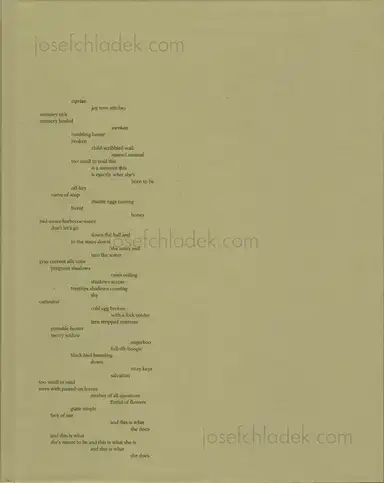 Raymond Meeks - ciprian honey cathedral Raymond Meeks - ciprian honey cathedral