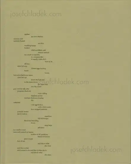 Cover of Raymond Meeks - ciprian honey cathedral