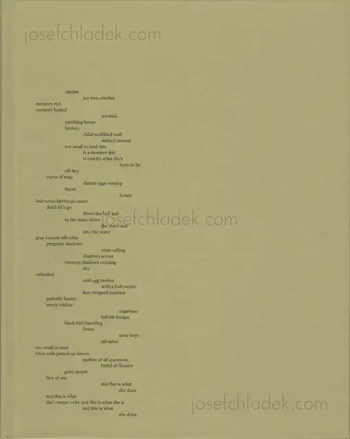 Cover of Raymond Meeks - ciprian honey cathedral