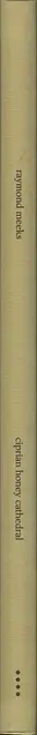 Book spine: Raymond Meeks - ciprian honey cathedral