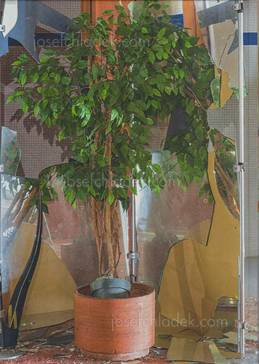 Martin Ogolter BG 15