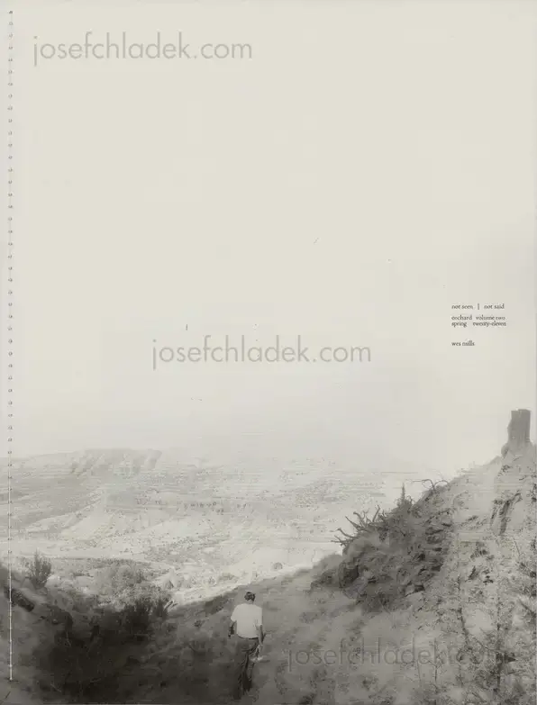 Cover of Raymond Meeks - Orchard Volume Two / Not Seen | Not Said