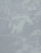 Raymond Meeks - Halfstory Halflife