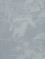 Raymond Meeks - Halfstory Halflife