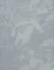 Raymond Meeks - Halfstory Halflife