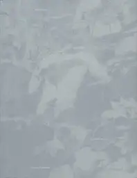 Raymond Meeks - Halfstory Halflife