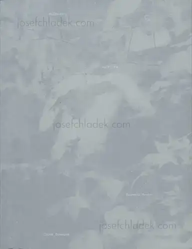 Raymond Meeks - Halfstory Halflife Raymond Meeks - Halfstory Halflife