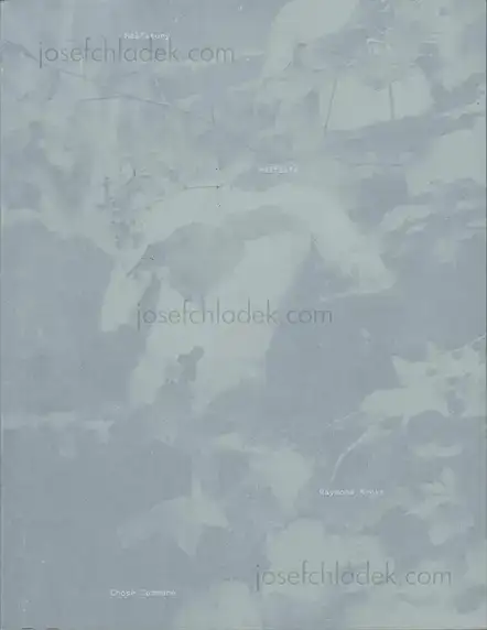 Cover of Raymond Meeks - Halfstory Halflife