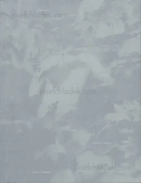 Cover of Raymond Meeks - Halfstory Halflife