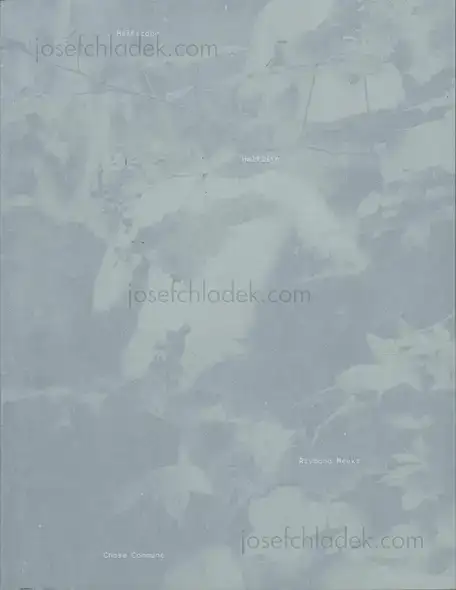 Cover of Raymond Meeks - Halfstory Halflife
