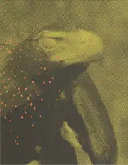 Matt Dunne - The Killing Sink