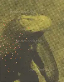 Matt Dunne - The Killing Sink