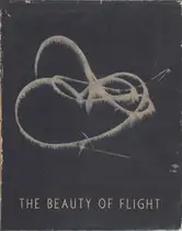 Manfred Curry - The beauty of flight