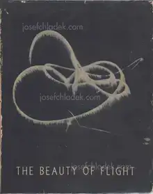 Manfred Curry - The beauty of flight
