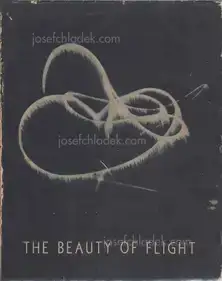 Manfred Curry - The beauty of flight