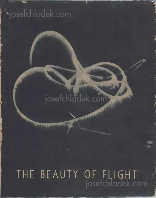 Cover of Manfred Curry - The beauty of flight