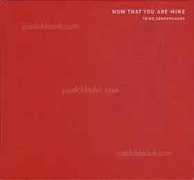 Cover of Trine Søndergaard - Now That You Are Mine