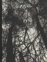 Raymond Meeks & Mark Steinmetz - Orchard Volume Three / Idyll - Book photo 1