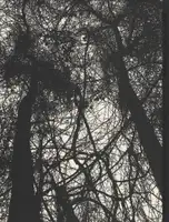 Raymond Meeks & Mark Steinmetz - Orchard Volume Three / Idyll - Book photo 2