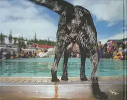 Lars Tunbjörk - I love Borås - Book photo 2