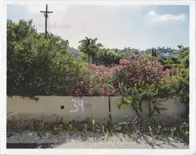 Douglas Stockdale - Middle Ground