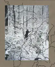 Cover of Jake Reinhart - Laurel Mountain Laurel