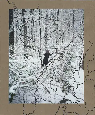 Cover of Jake Reinhart - Laurel Mountain Laurel