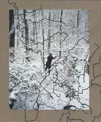 Jake Reinhart - Laurel Mountain Laurel Jake Reinhart - Laurel Mountain Laurel