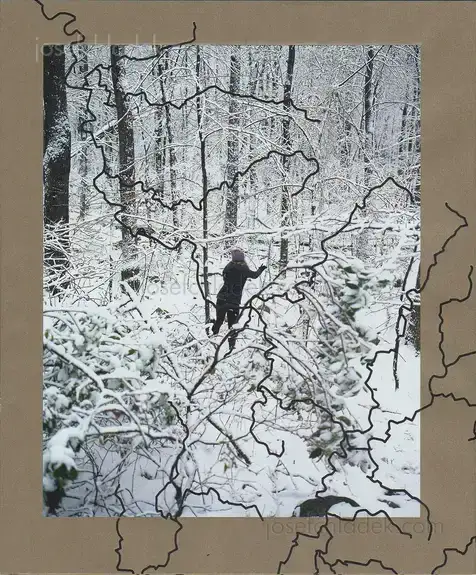 Cover of Jake Reinhart - Laurel Mountain Laurel
