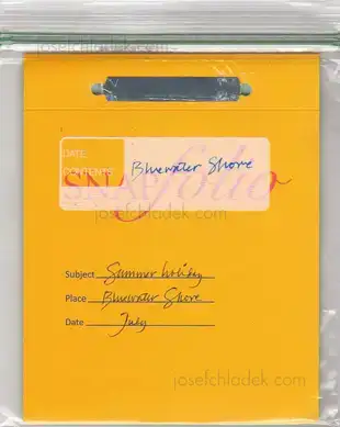 Cover of Douglas Stockdale - Bluewater Shore