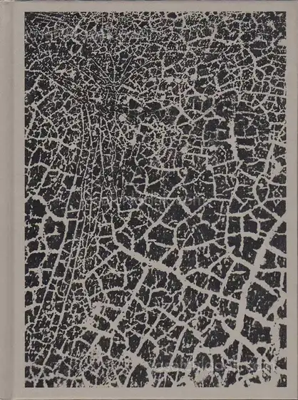 Cover of Kim Thue - Lode