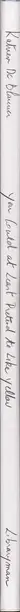 Book spine: Katrien de Blauwer - You Could At Least Pretend to Like Yellow