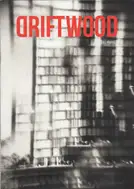 Christian Reister - Driftwood No.13 | Paris