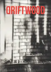 Christian Reister - Driftwood No.13 | Paris