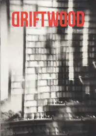 Christian Reister - Driftwood No.13 | Paris